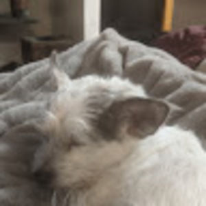 Meet your Posher, Marcus